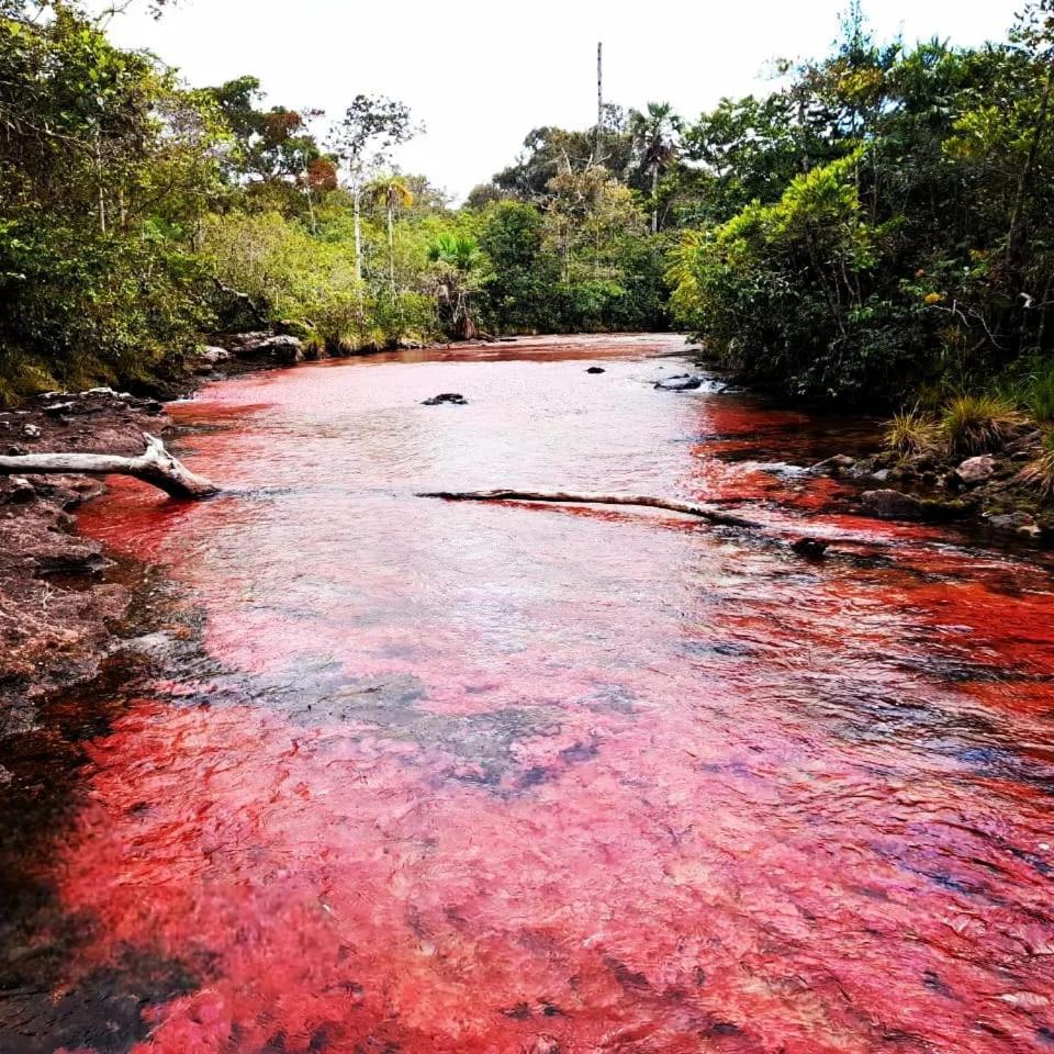 Hotel Ecologico Makalombia La Macarena Екстер'єр фото