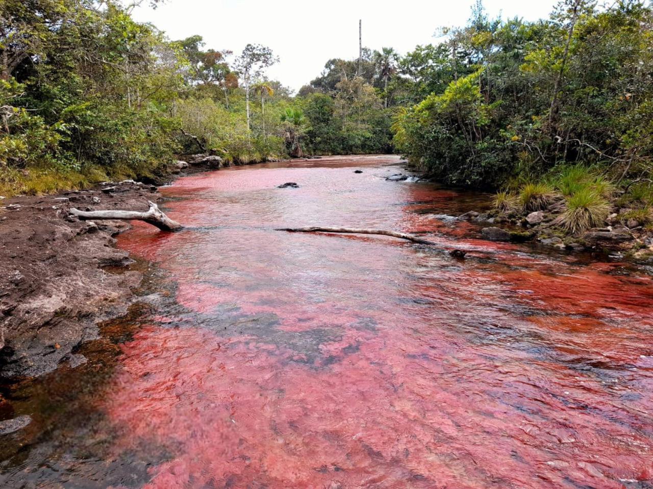 Hotel Ecologico Makalombia La Macarena Екстер'єр фото