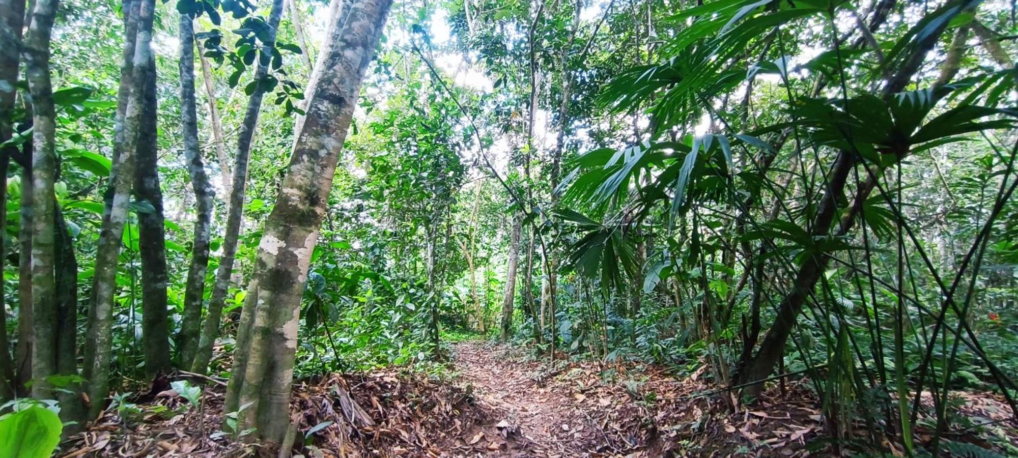 Hotel Ecologico Makalombia La Macarena Екстер'єр фото