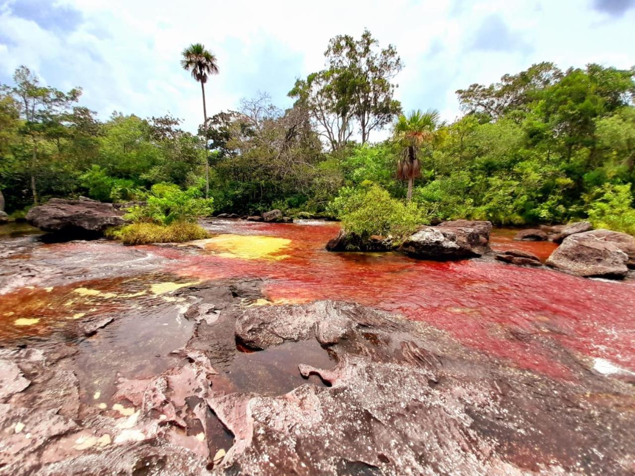 Hotel Ecologico Makalombia La Macarena Екстер'єр фото