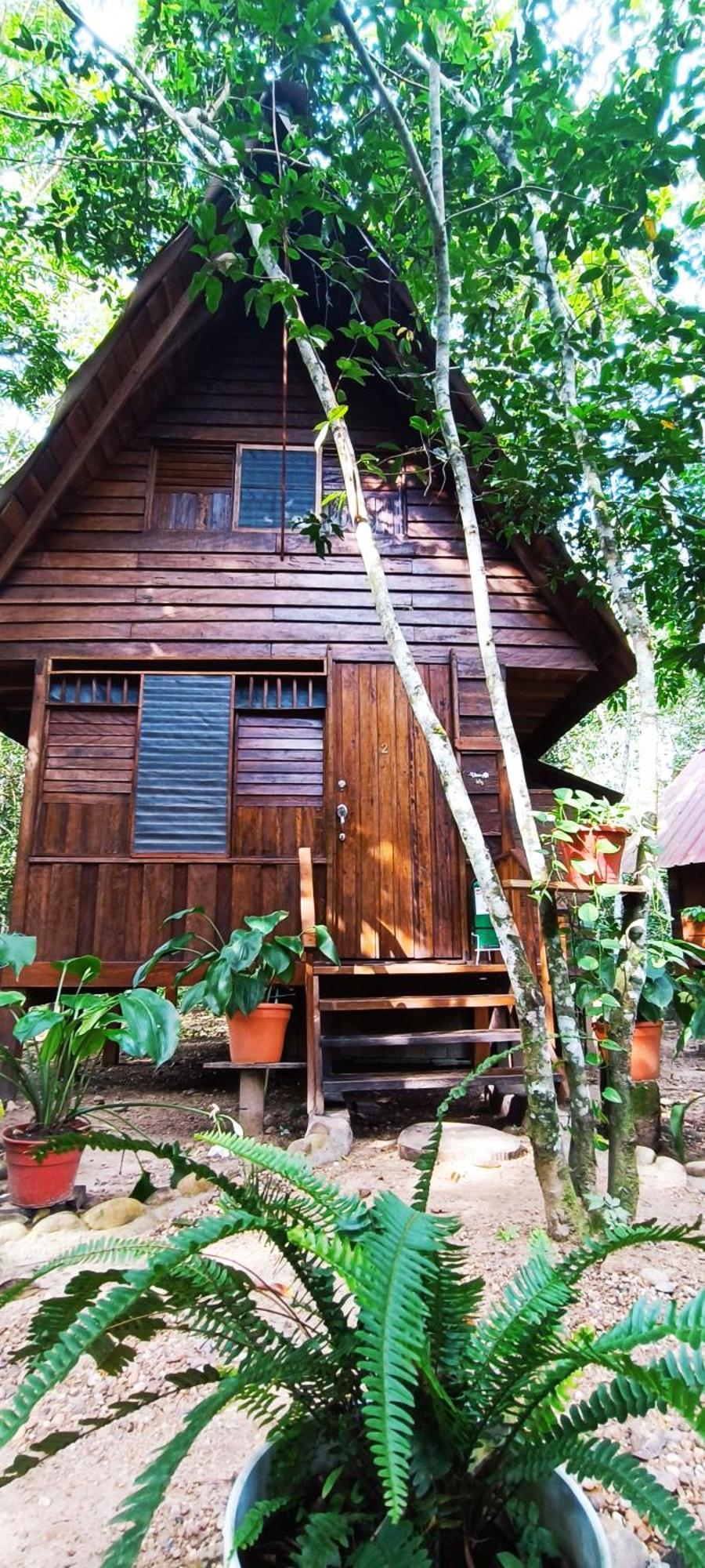 Hotel Ecologico Makalombia La Macarena Екстер'єр фото