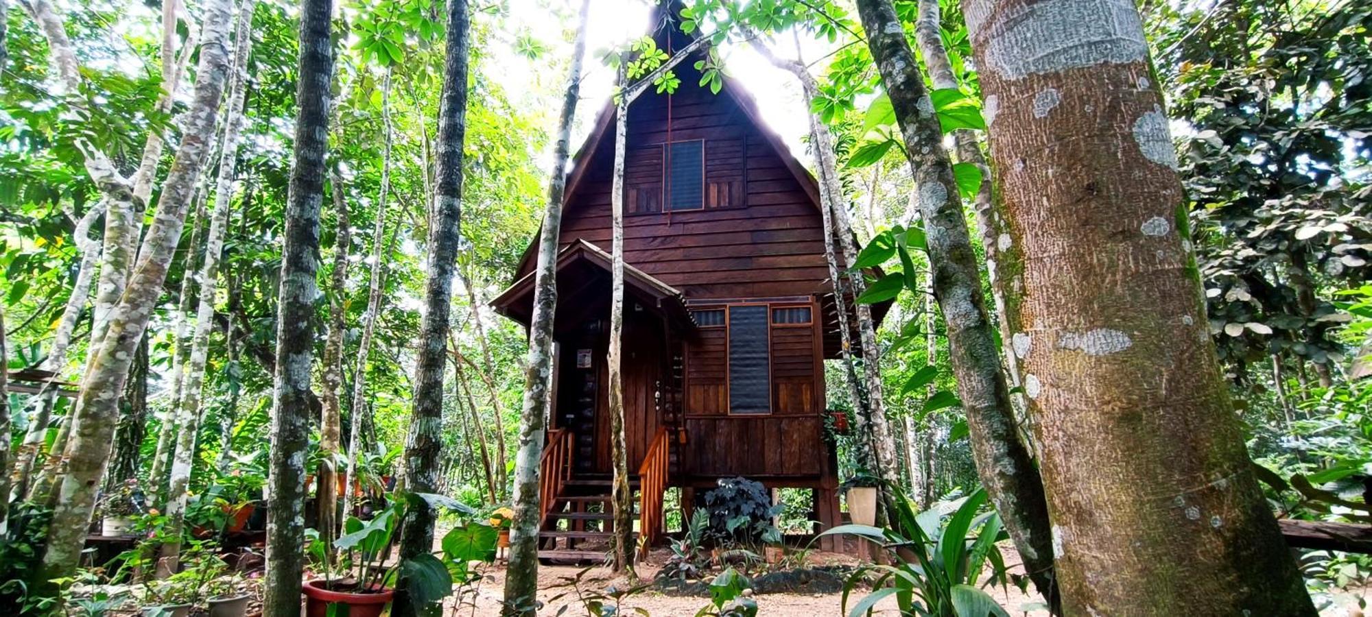 Hotel Ecologico Makalombia La Macarena Екстер'єр фото